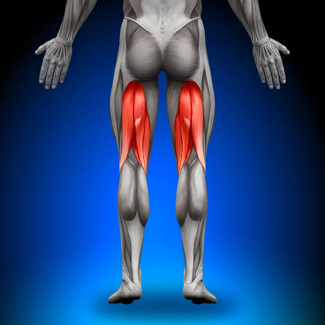 Hamstring Tear Treatment & Rehabilitation | Tensegrity